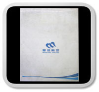 華信、澳門航空系列